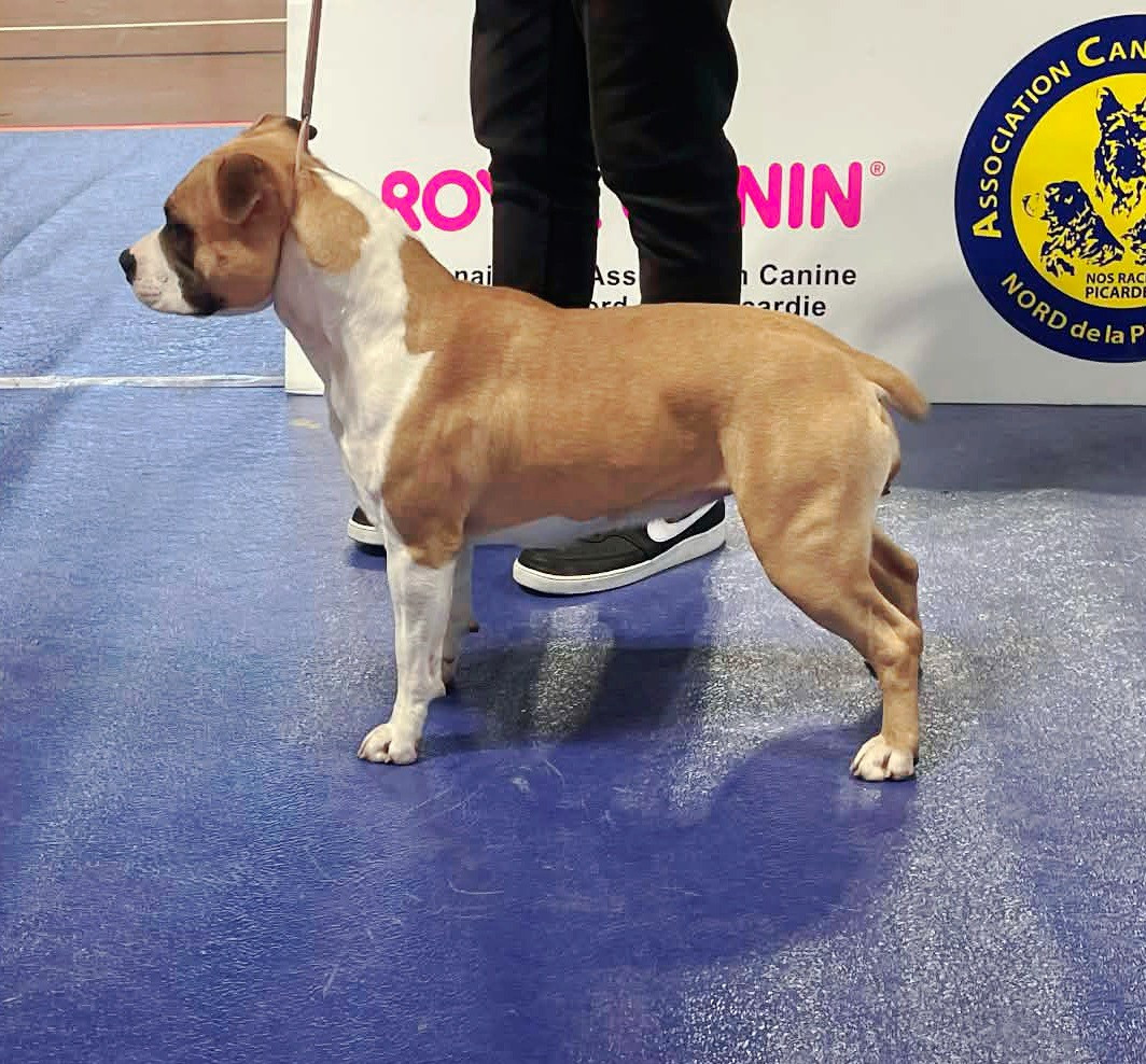 Very pretty girl De L'Empire Eternel